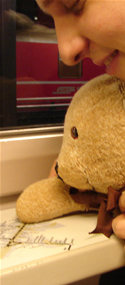 Alex & Lawrence study the RhB network